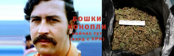 PSILOCYBIN Няндома