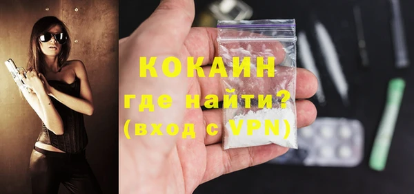 гидра Галич