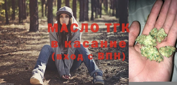 мдпв Осташков