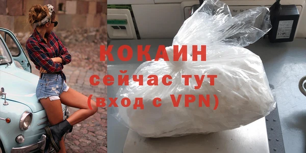 мдпв Осташков