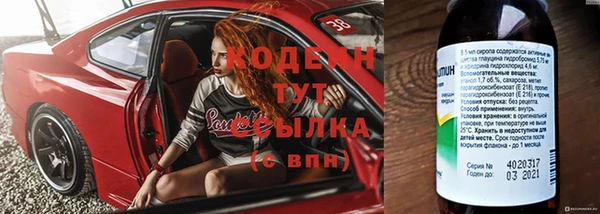 эйфоретик Гатчина