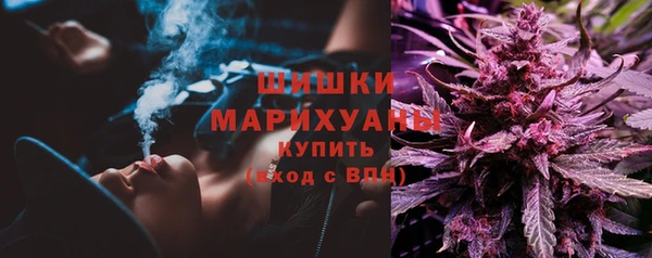 тгк Гвардейск