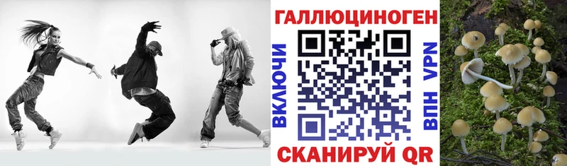 Галлюциногенные грибы Psilocybine cubensis  Купить  Зима 